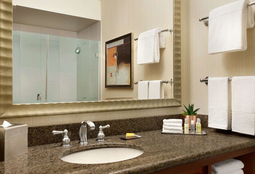 هتل Doubletree By Hilton Minneapolis Park Place