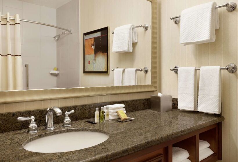 هتل Doubletree By Hilton Minneapolis Park Place