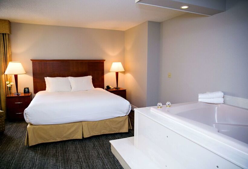 هتل Doubletree By Hilton Minneapolis Park Place