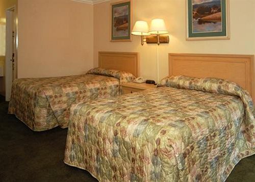 فندق Sequoia Lodge