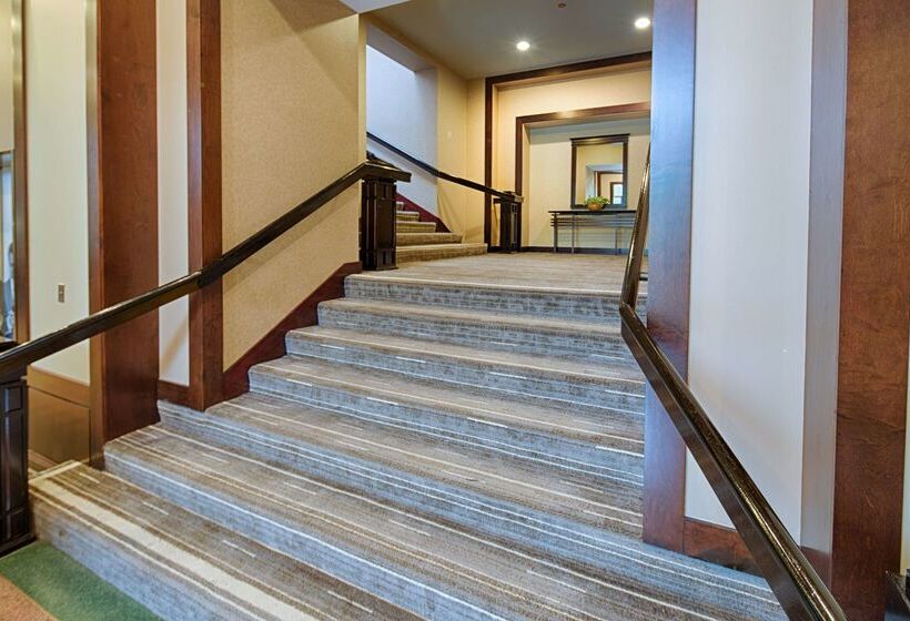 בית מלון כפרי Embassy Suites By Hilton Chicago O Hare Rosemont