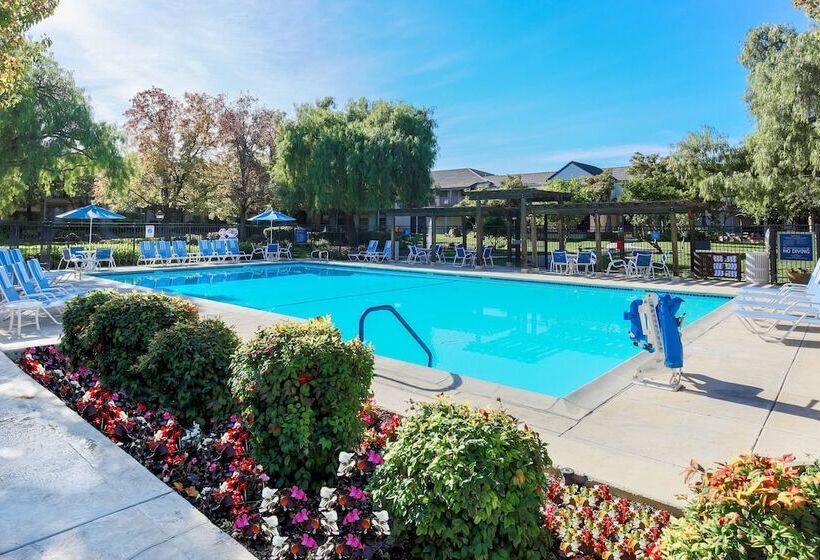 בית מלון כפרי Four Points By Sheraton Pleasanton
