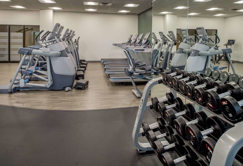 هتل Hilton St. Louis Airport