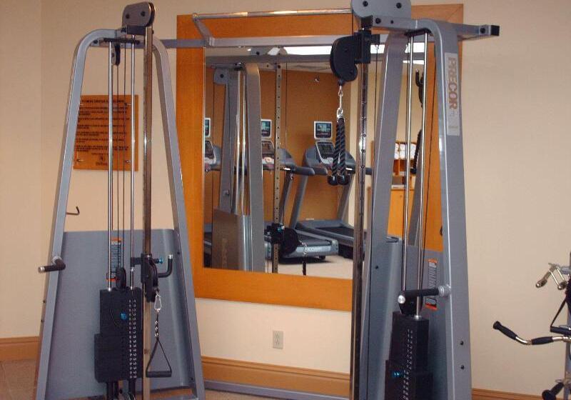 هتل Hilton St. Louis Frontenac