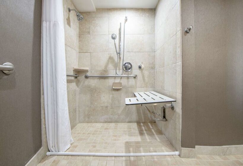 فندق Hilton St. Petersburg Bayfront