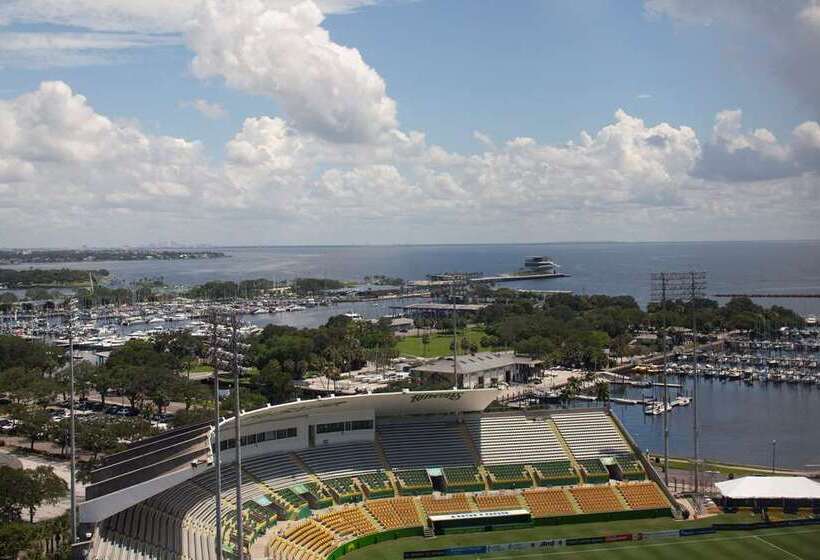فندق Hilton St. Petersburg Bayfront