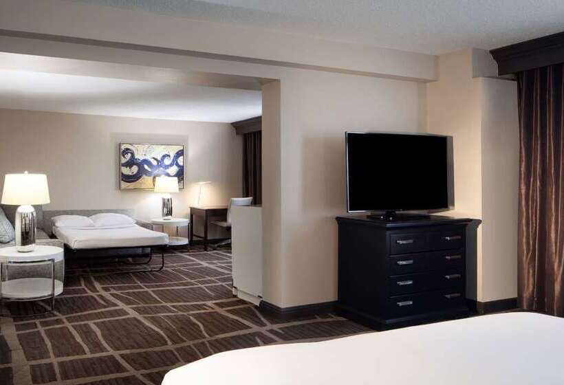 فندق Hilton St. Petersburg Bayfront