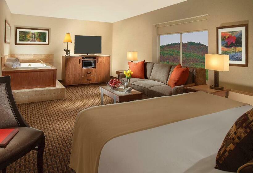 هتل North Conway Grand