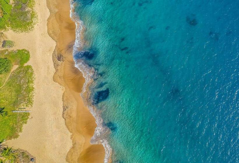 ホテル Pacific Shores A402