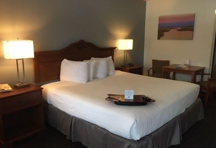 ホテル St. Michaels Inn