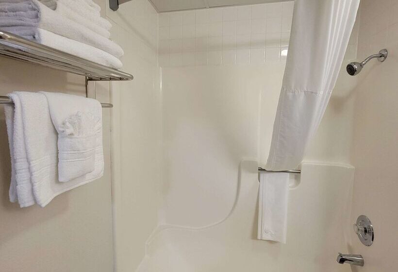 Surestay Plus Hotel By Best Western Grand Island