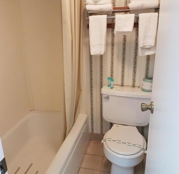 هتل Swiss Village Inn