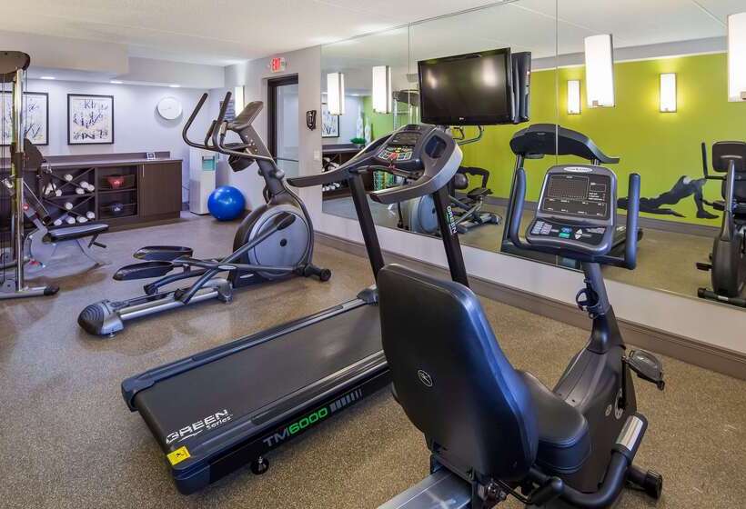 בית מלון כפרי Best Western Naperville Inn