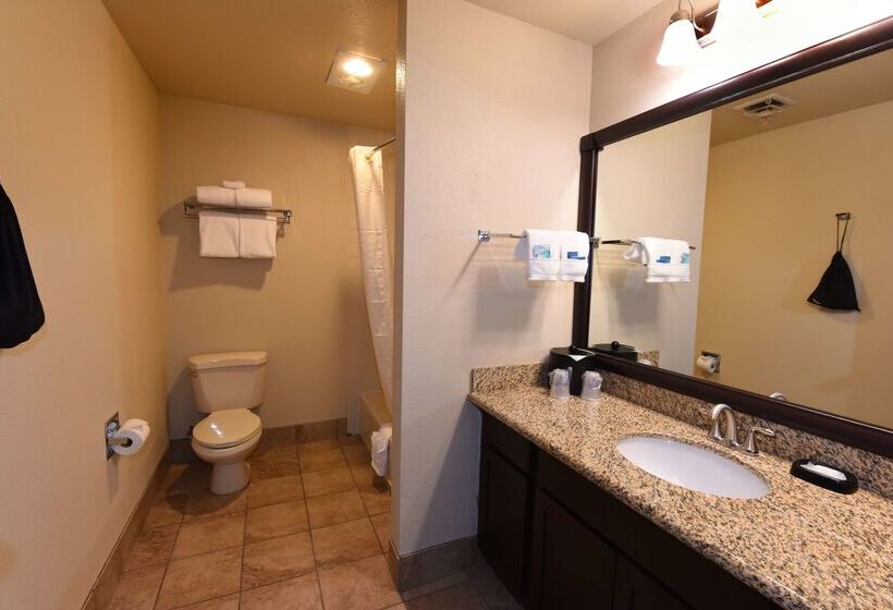 فندق Best Western Plus Ahtanum Inn