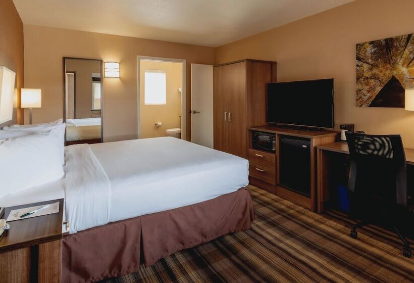 فندق Boulder University Inn