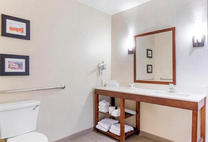 هتل Comfort Suites St George  University Area