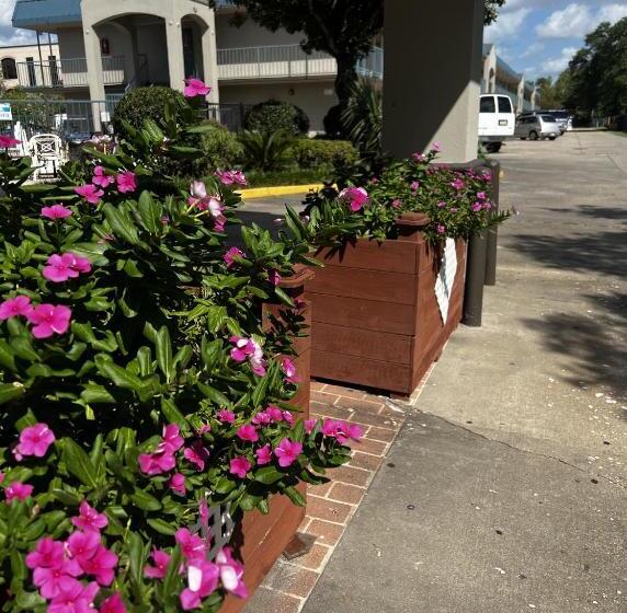 בית מלון כפרי Discovery Inn Lafayette