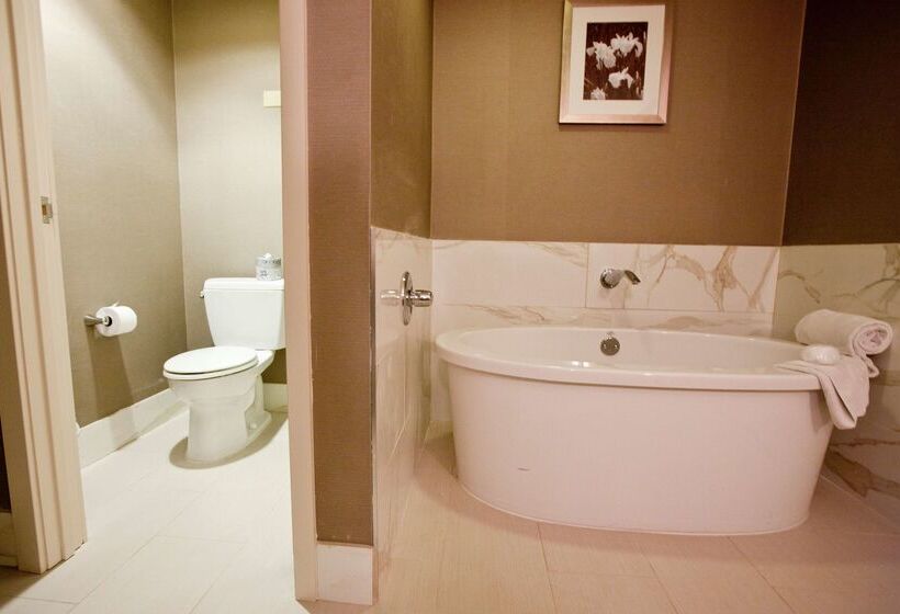 هتل Wyndham Midland Downtown