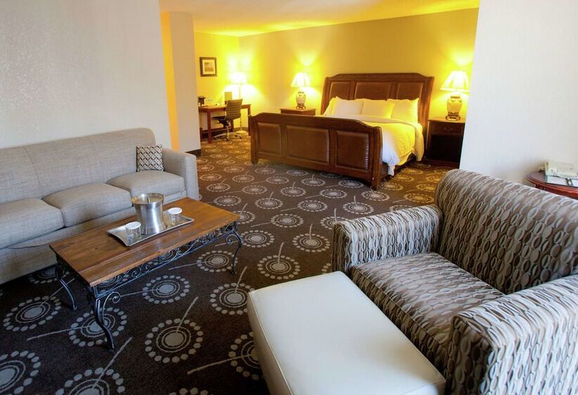 هتل Wyndham Midland Downtown