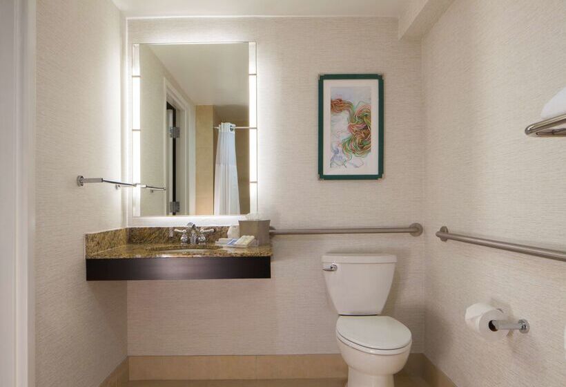 酒店 Hilton Garden Inn Austin Downtown/convention Center