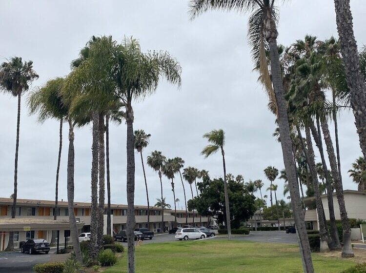 호텔 Palmeras Chula Vista