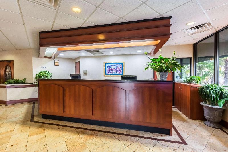 فندق Suburban Studios Florence I 95