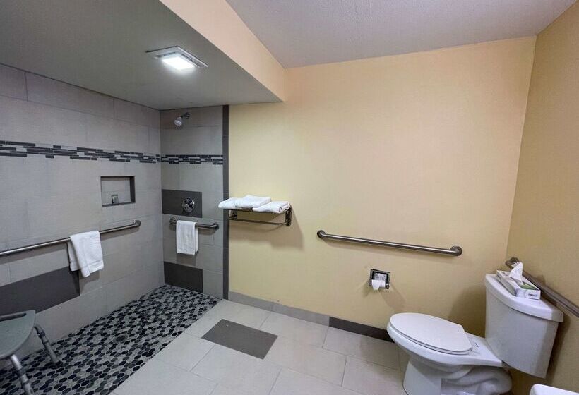 Surestay Plus Hotel By Best Western Odessa