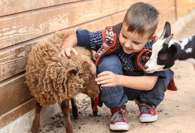 فندق Voyageur Inn And Conference Center