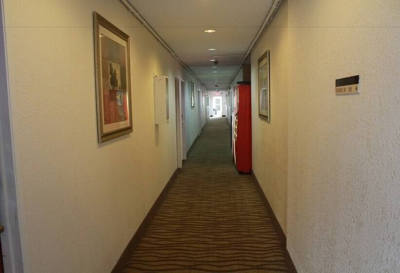 汽车旅馆  Royal Inn