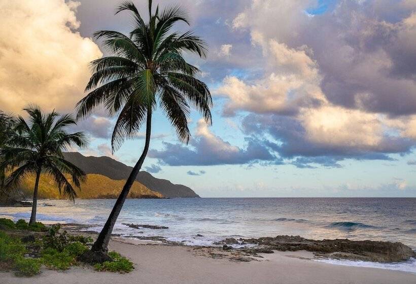 Carambola Beach Resort St. Croix, Us Virgin Islands