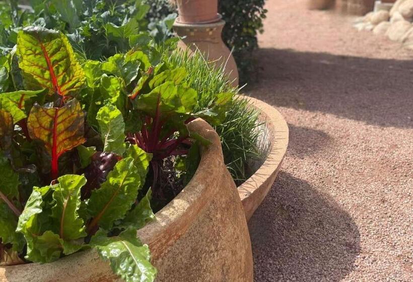 Westward Look Wyndham Grand Resort & Spa