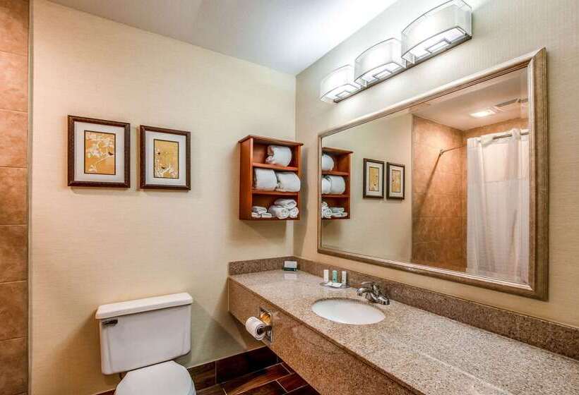 هتل Country Inn & Suites By Radisson, Muskegon, Mi