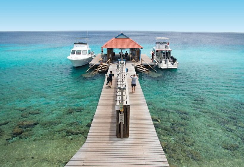 Divi Flamingo Beach Resort