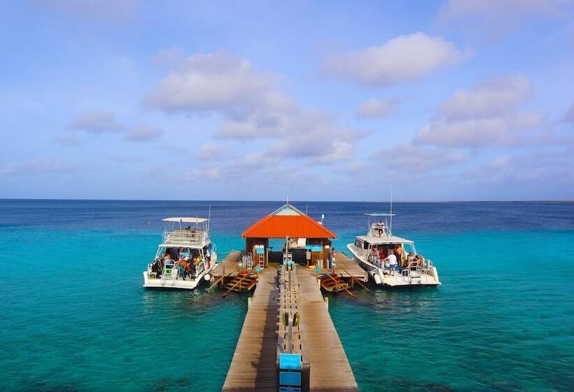 Divi Flamingo Beach Resort