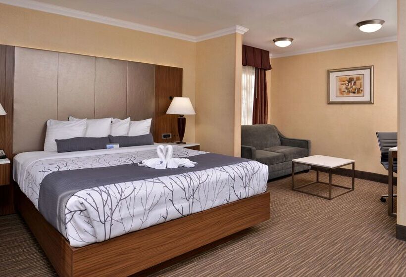 Best Western Hollywood Plaza Inn Hotel   Hollywood Walk Of Fame La
