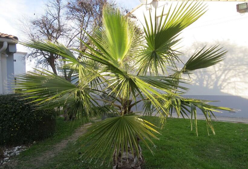 ホテル Hôtel Kyriad Cap Sud