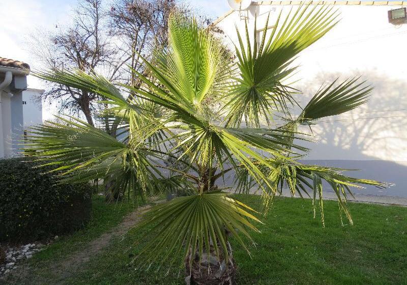 ホテル Hôtel Kyriad Cap Sud