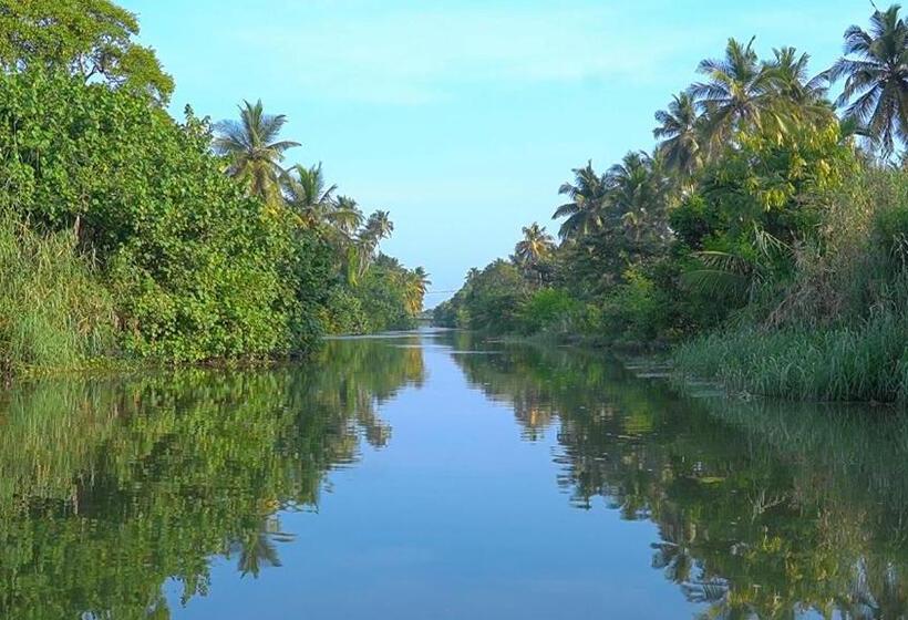 酒店 Pegasus Reef   A Beach Resort In Colombo