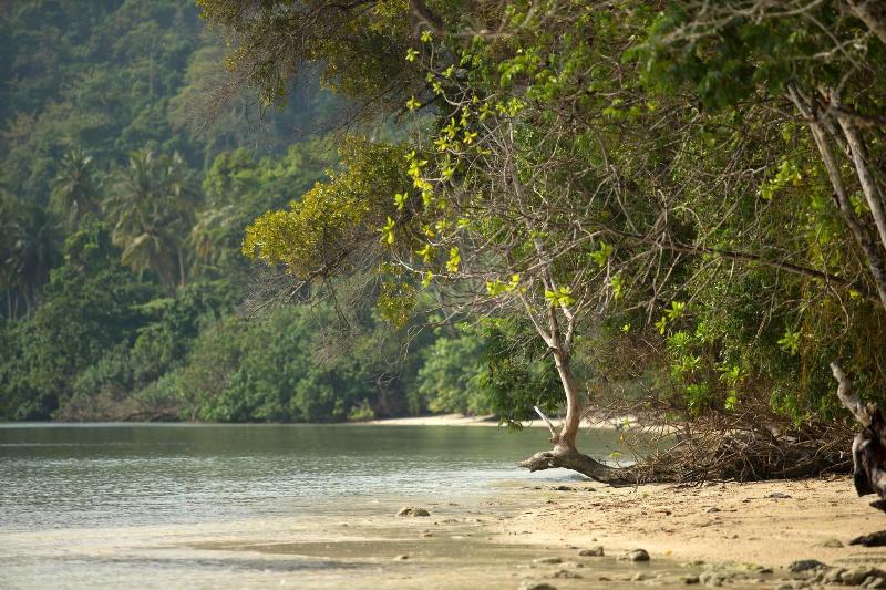 هتل Sheraton Lampung