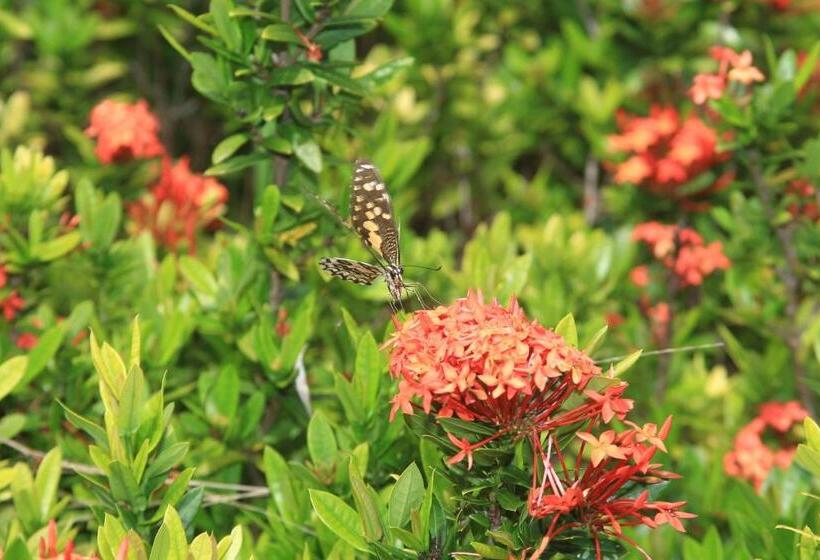 Berjaya Langkawi Resort