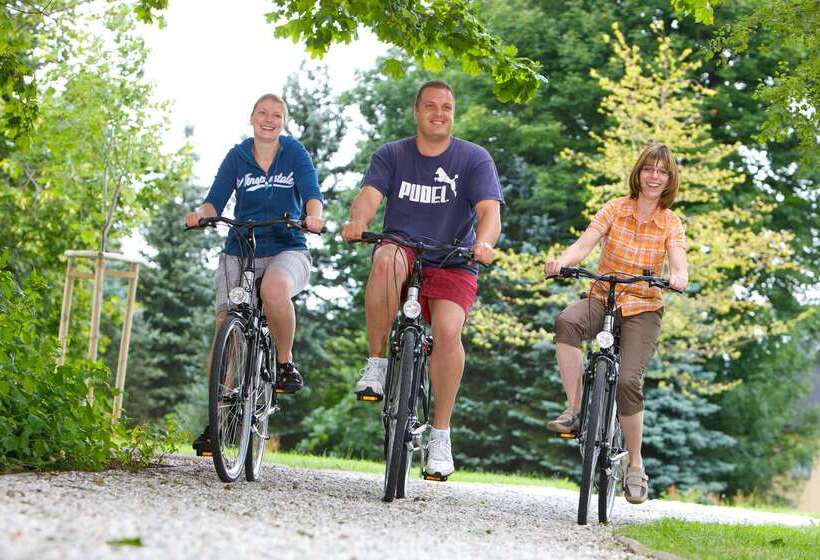 Best Western Ahorn Hotel Oberwiesenthal – Adults Only