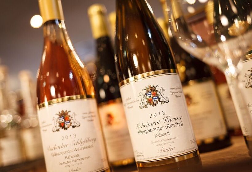هتل Rheingold