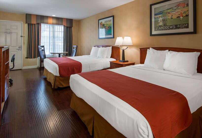 בית מלון כפרי Best Western Palm Garden Inn