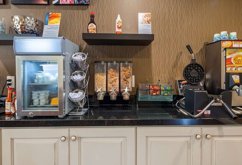 בית מלון כפרי Best Western Palm Garden Inn