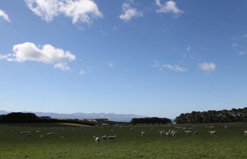 בית מלון כפרי Wharekauhau Country Estate