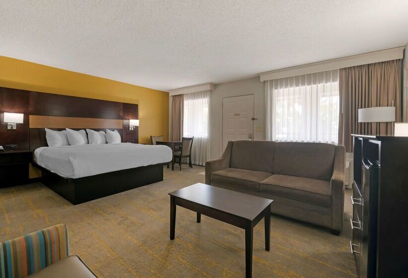 בית מלון כפרי Best Western Inn Of Palatka