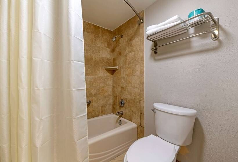 בית מלון כפרי Best Western Inn Of Palatka