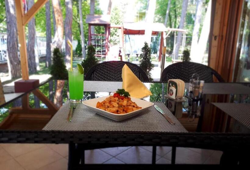 فندق Korona