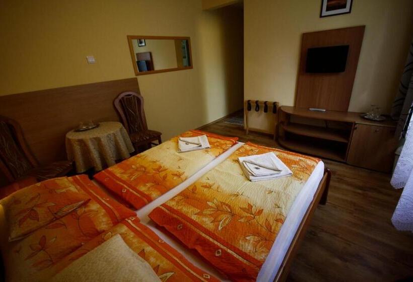 호텔 Parti Panzió