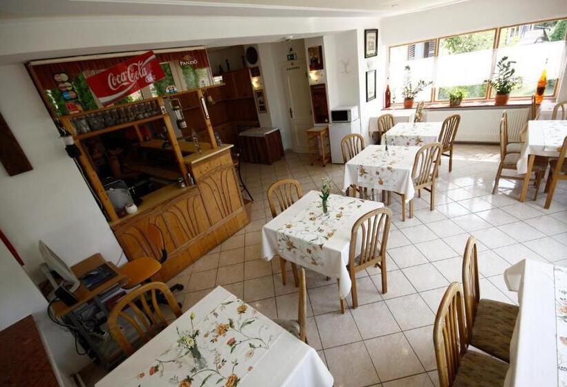 호텔 Parti Panzió